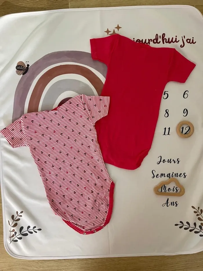 Lot de 2 bodies été bébé fille – Absorba – Taille 12 mois / 74 cm👶💖 - photo numéro 2