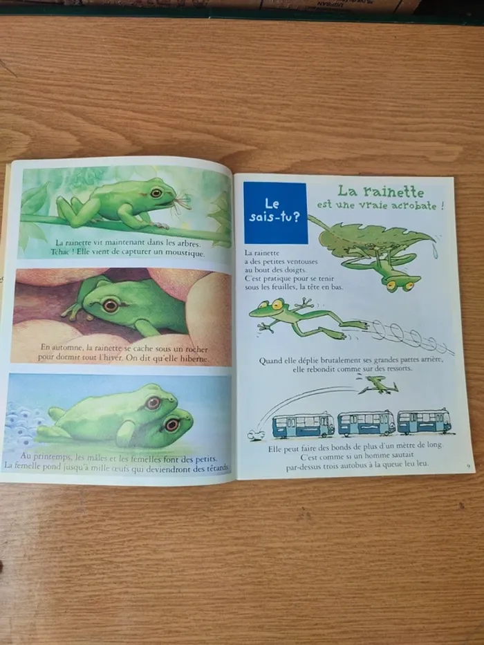 Livre youpi l'histoire de la poste - photo numéro 8