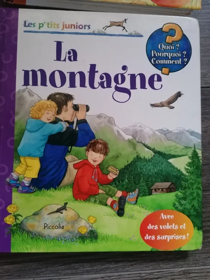 Livres les p'tits juniors - photo numéro 5