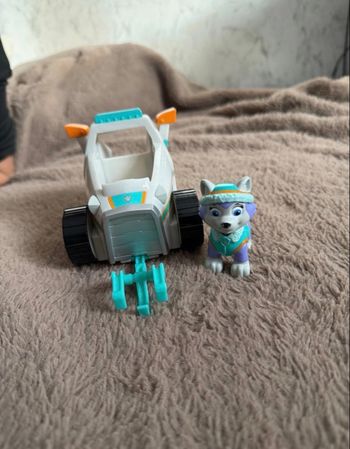 Voiture paw patrol