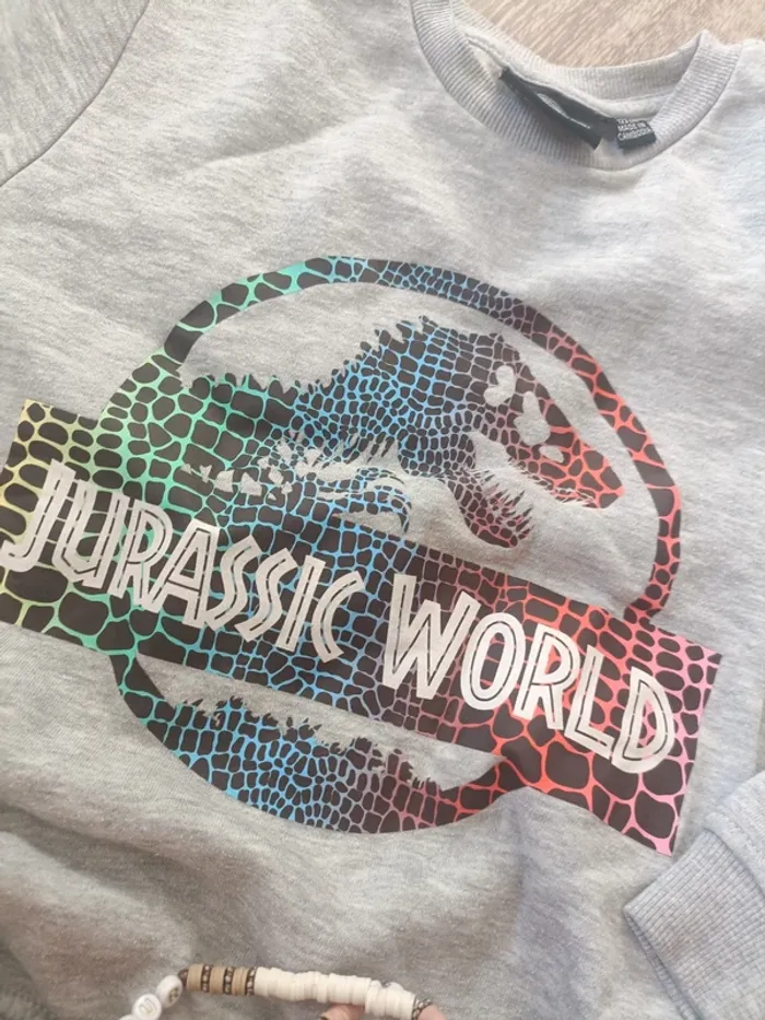 Pull Jurassic World 6-7 ans - photo numéro 3