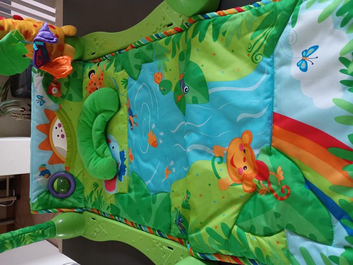 tapis eveil - photo numéro 2