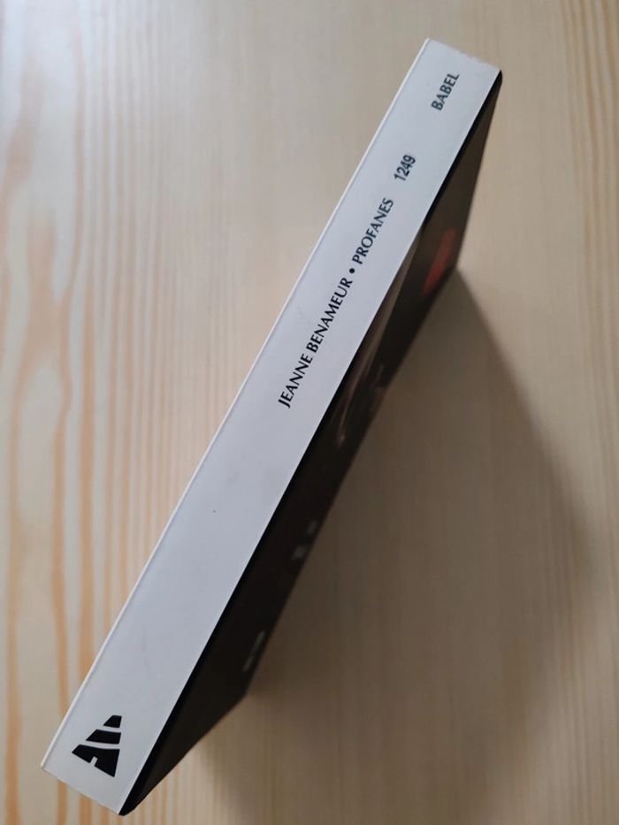 Jeanne Benameur 🌸 Profanes - photo numéro 3