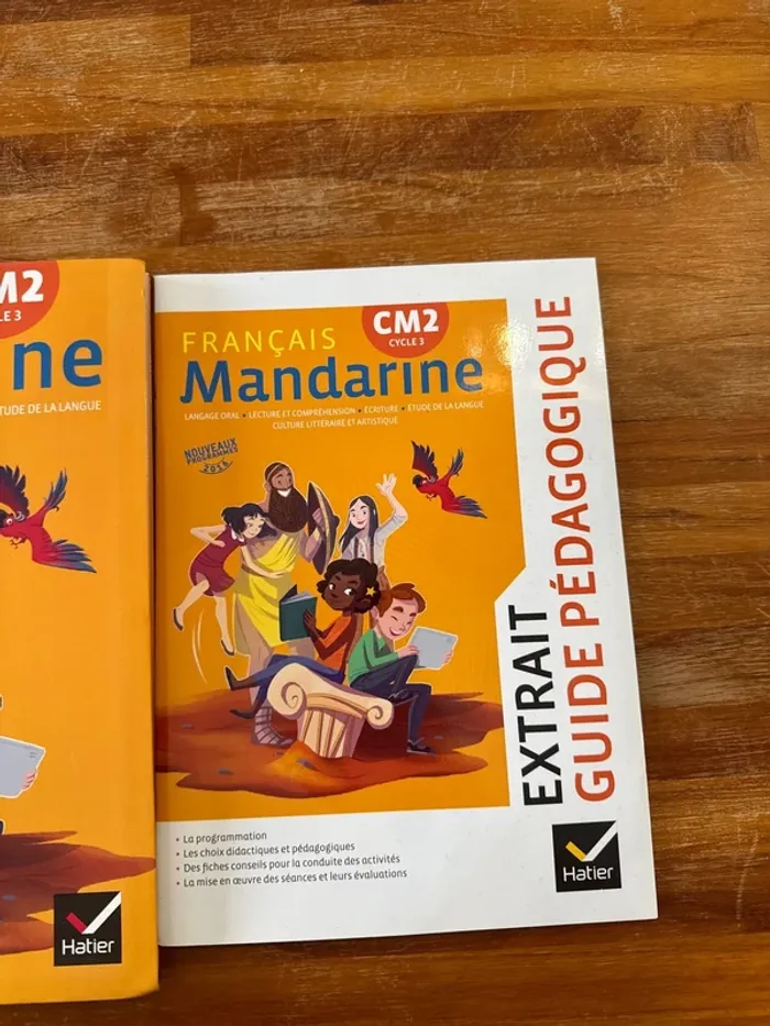 Livre français, mandarine, CM2 - photo numéro 3