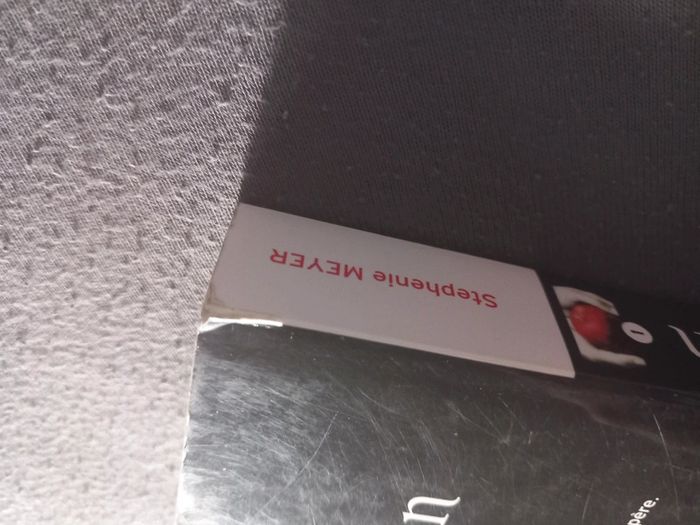 Twilight fascination - photo numéro 3