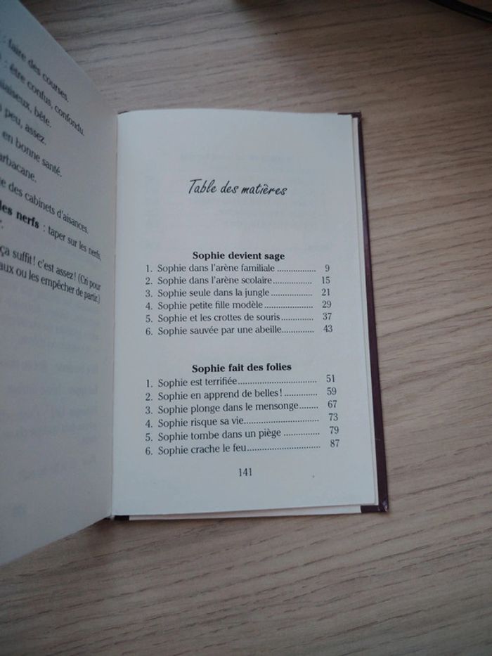 Livre Sophie devient sage et autres aventures de Louise Leblanc - photo numéro 4
