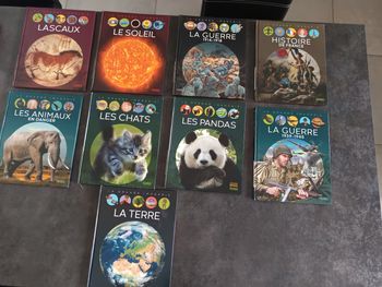 Livre la grande imagerie