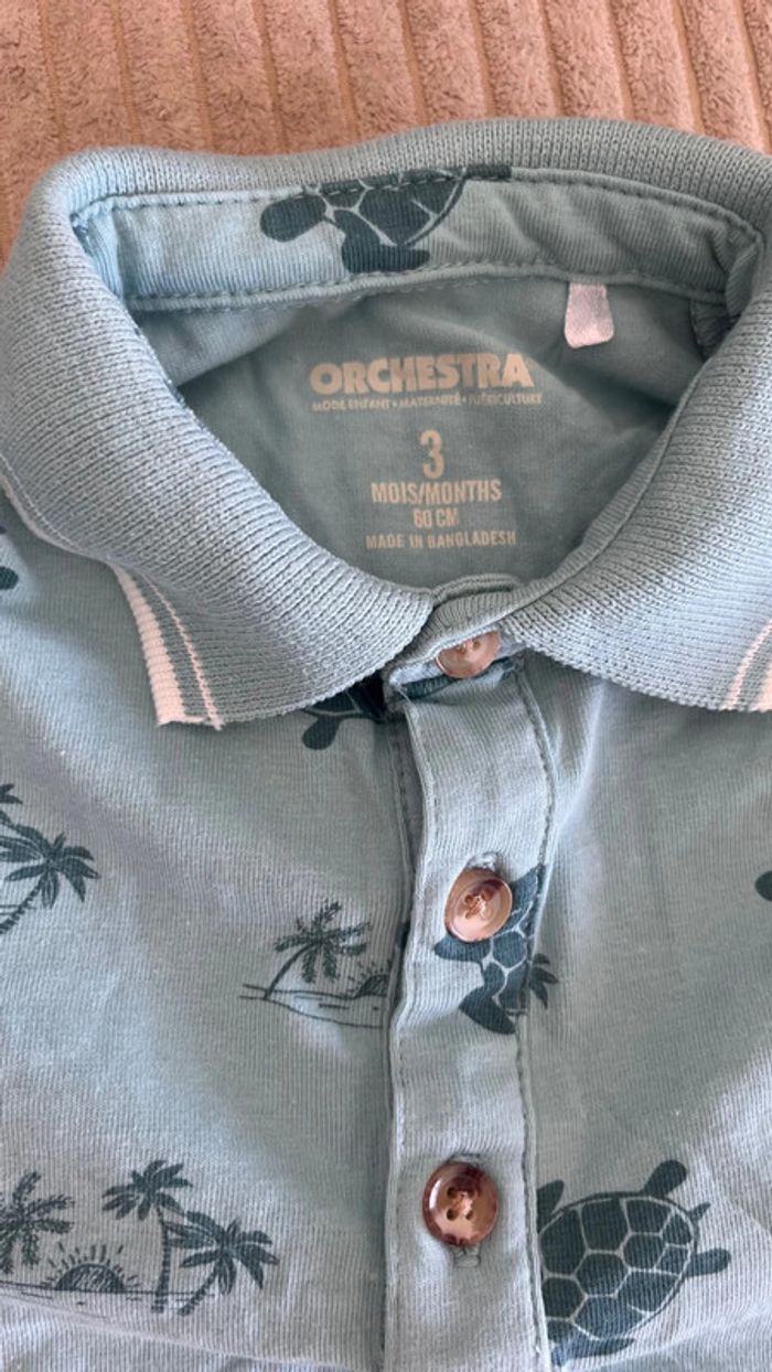 Ensemble tortue - photo numéro 3