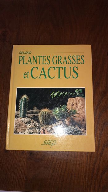 Réussir plantes grasses et cactus