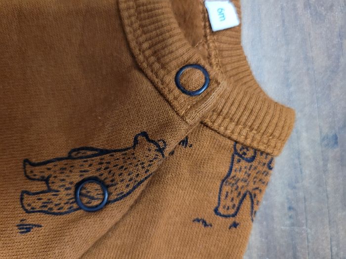 Ensemble - photo numéro 10