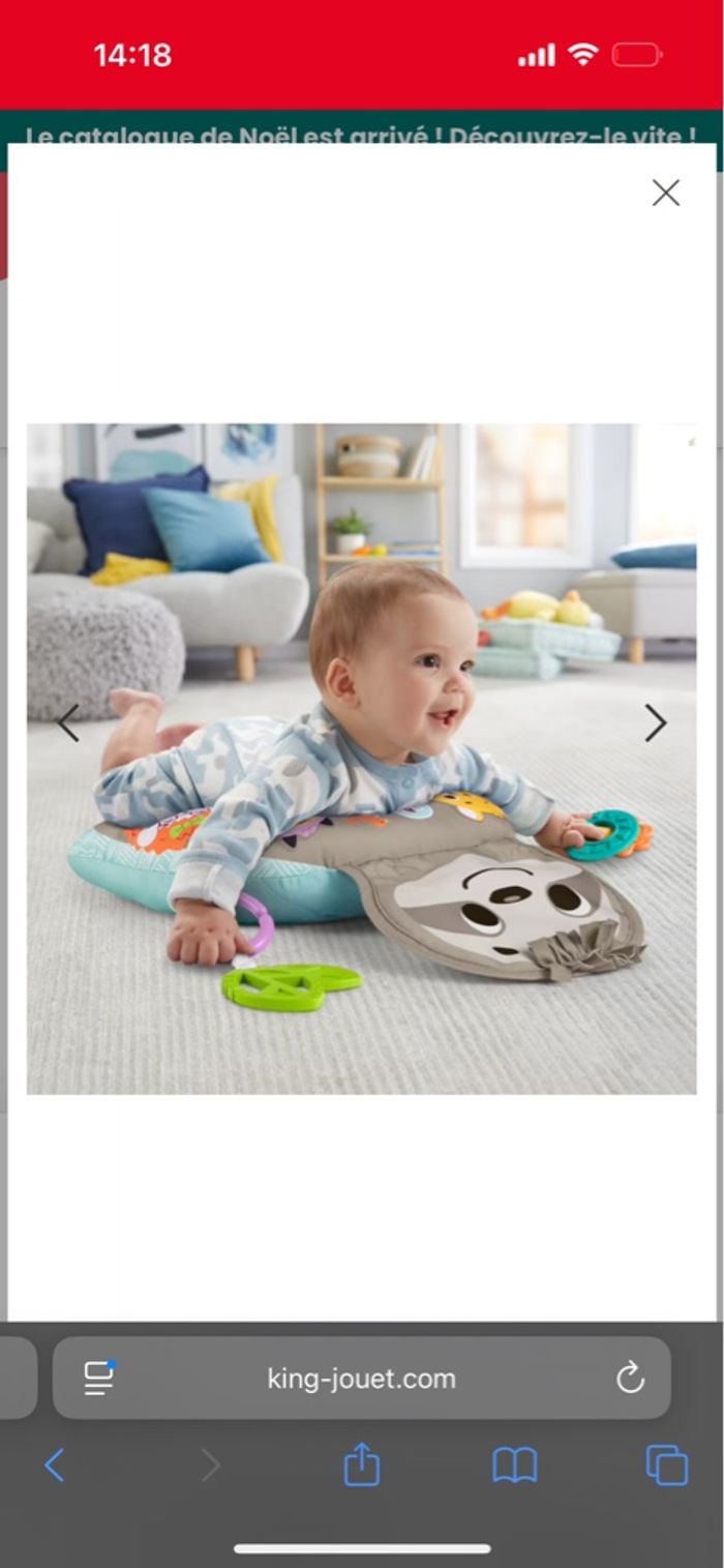 Coussin ventrale Fisher Price - photo numéro 3