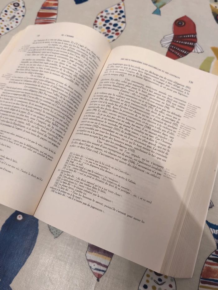 Philosophie politique Léviathan - photo numéro 5