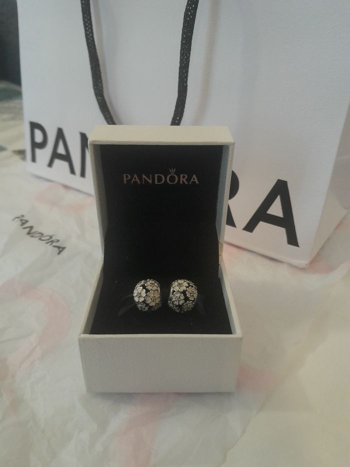 2 charms Pandora - photo numéro 5