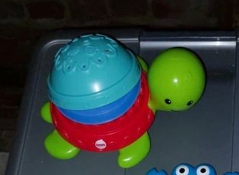 Tortue de bain