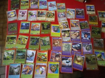 CARTES INVIZIMALS