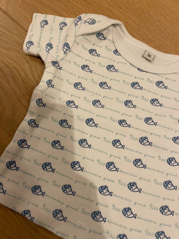 Lot 3 t-shirts MC - 3mois - photo numéro 3