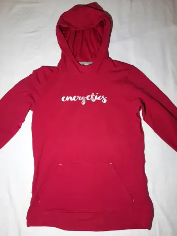 Pull à capuche energetics