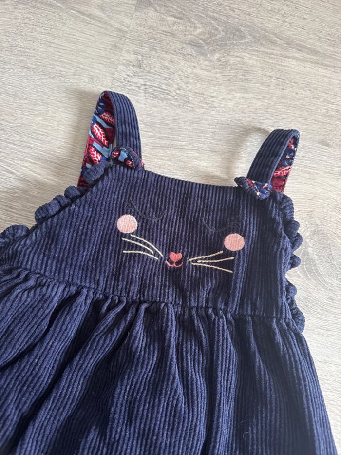 Robe chat - photo numéro 3
