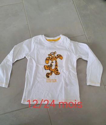 Petit pull Tigrou 12 / 24 mois