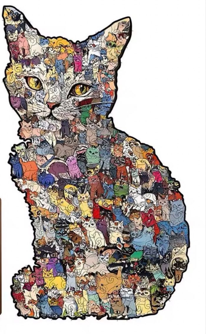 Coffret puzzle bois grand modèle avec tirelire - photo numéro 3