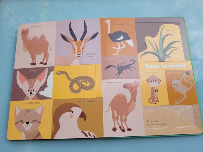 Grand livre à flaps 🦍 Mon Bel Imagier 🦜 Les animaux 🐆 73 - photo numéro 12