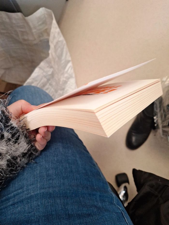 Vanner comme pépé - photo numéro 4