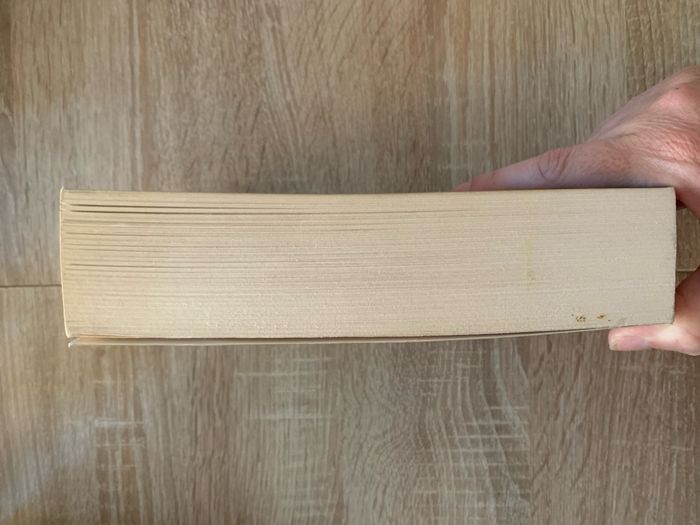 Le temple noir - photo numéro 5