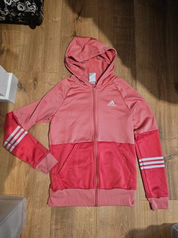 Sweat à capuche Adidas