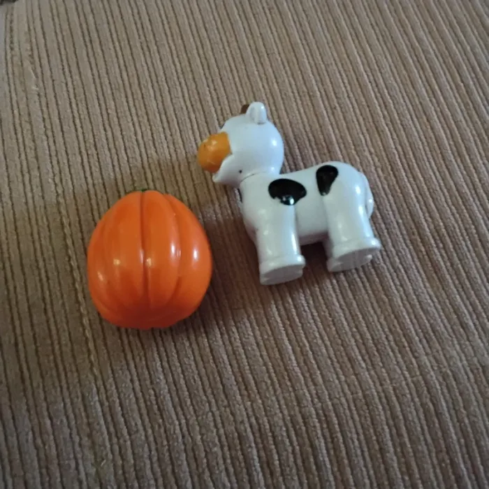 Vache et citrouille - photo numéro 3