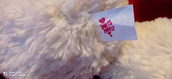 Ours blanc avec sa rose - photo numéro 3