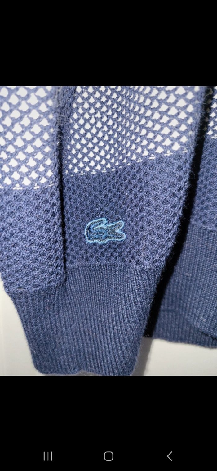 Pull  homme Lacoste - photo numéro 2