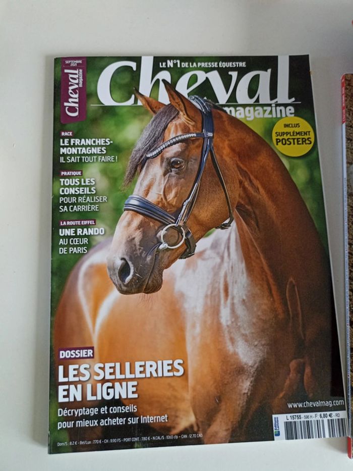 Cheval magazine - photo numéro 7