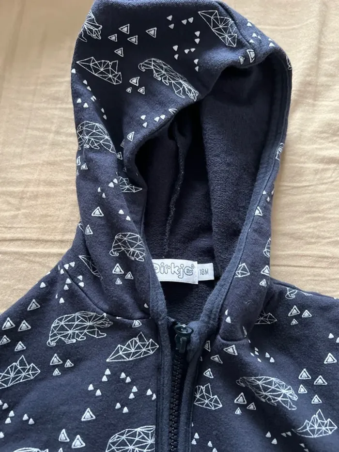 Pull zip à capuche - photo numéro 2