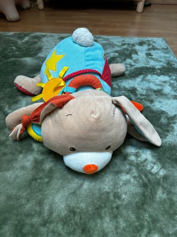 Lapin d’activités