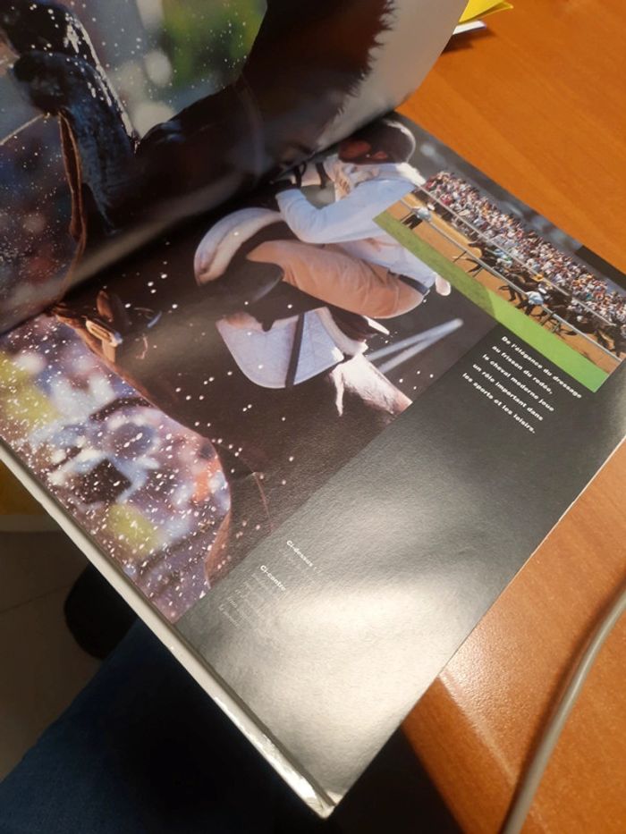 Cheval - photo numéro 8