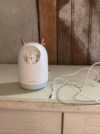 Humidificateur d’air
