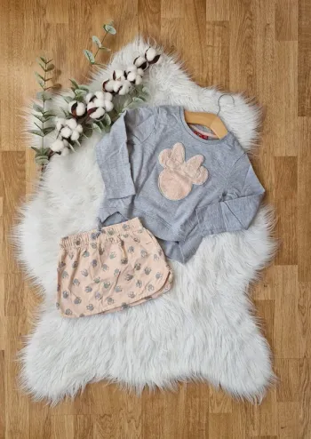 Ensemble Disney