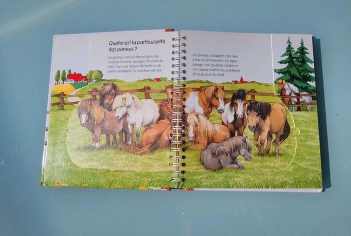 Livre animé à volets Les P'tits Juniors : 🐴 Les Poneys 🧲 35 - photo numéro 4
