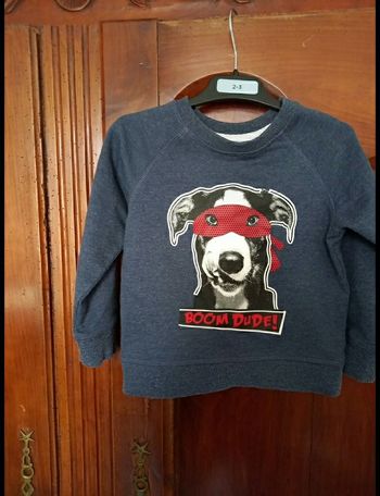 Pull type sweatshirt