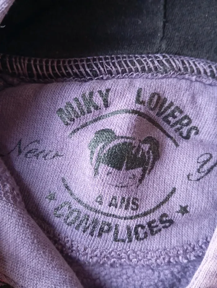 Sweat à capuche 4 ans - photo numéro 3