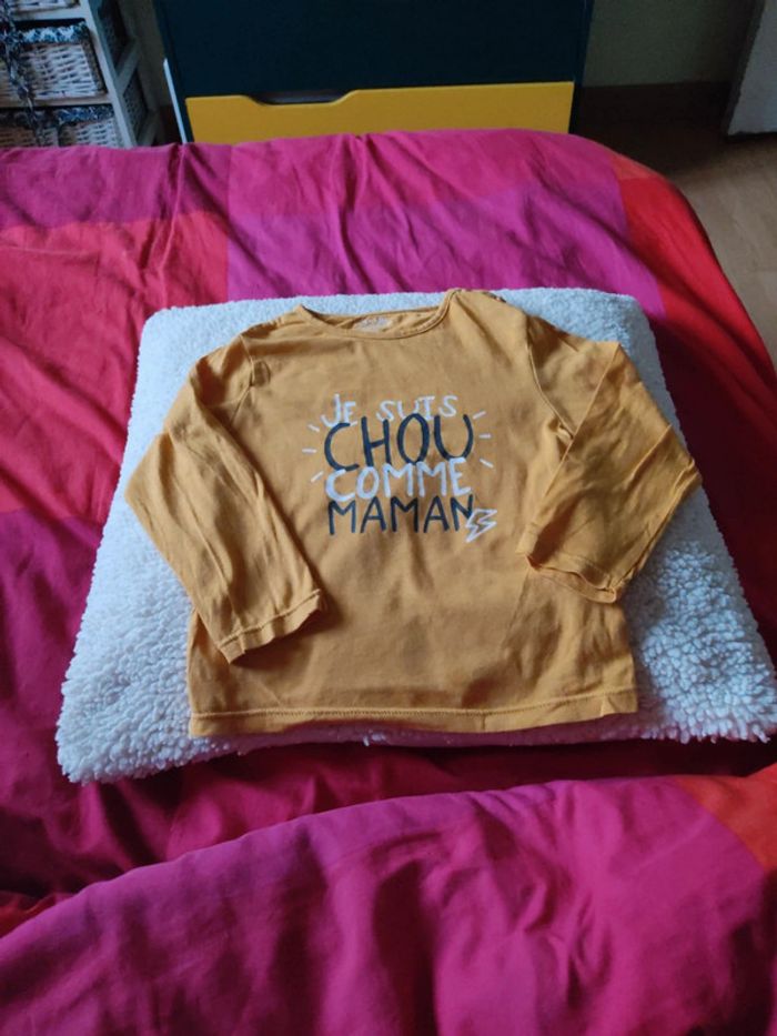 #haut manches longues 24 mois