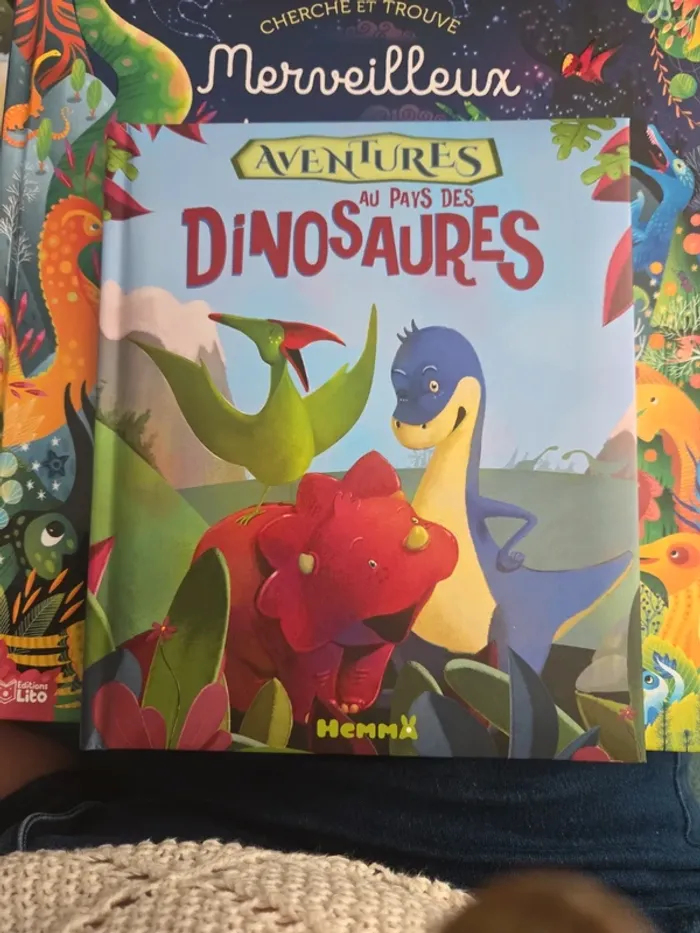 Livre cherche et trouve dinausores - photo numéro 6