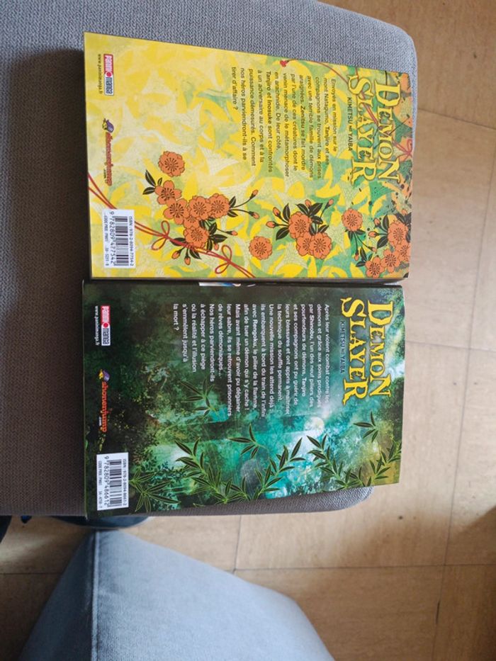 Mangas démon slayer - photo numéro 2