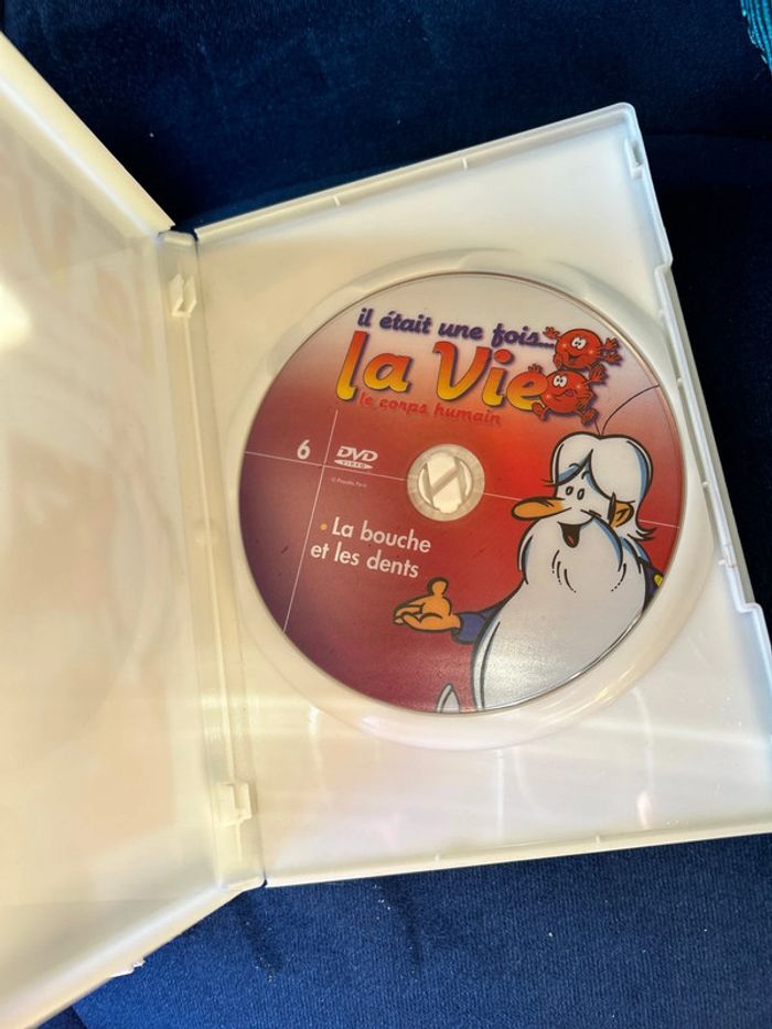 Livre et dvd numéro 6 collection la vie le corps humain - photo numéro 4