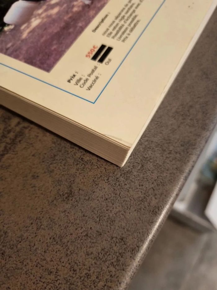 Livre les pepites du site leboncoin - photo numéro 4