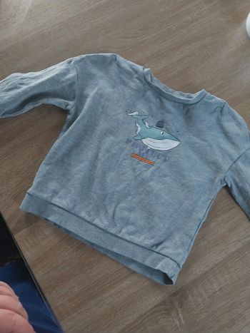 Pull 5 ans