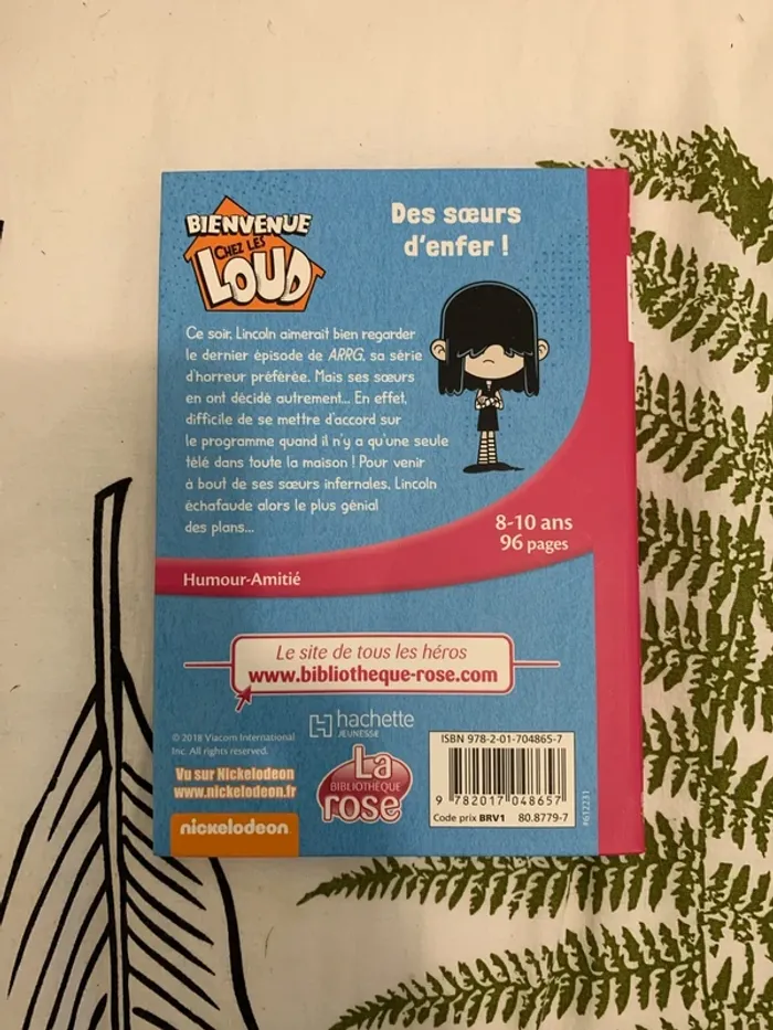 Livre bienvenue chez les loud - photo numéro 2