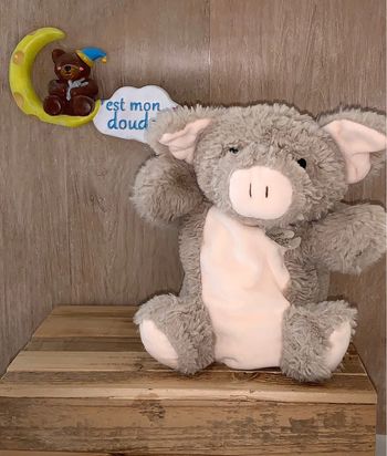 HD74 doudou cochon 🐷 histoire d’ours