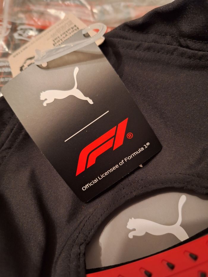 Puma GP Japon F1 - photo numéro 6