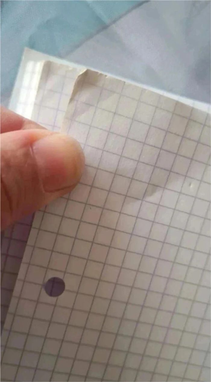 Lot feuille petit et grand carreaux - photo numéro 6